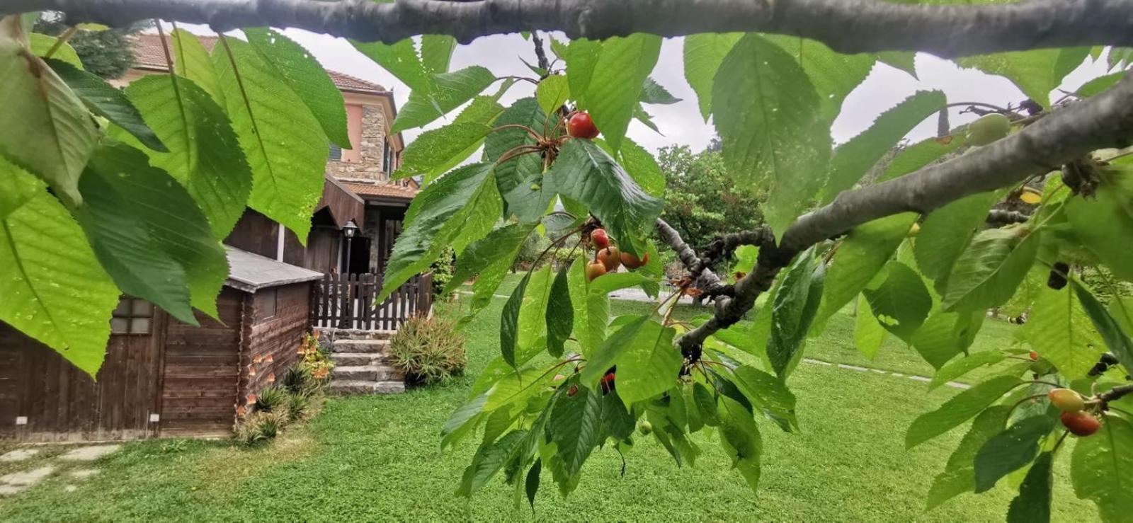 Hotel Relais Borgofasceo Ortovero Zewnętrze zdjęcie